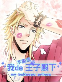 我的不靠谱王子殿下