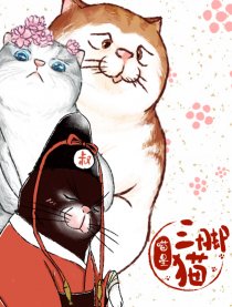 喵星三脚猫