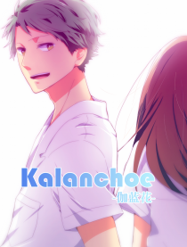 Kalanchoe -伽蓝花-